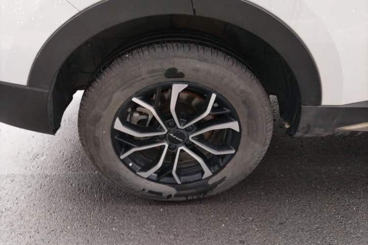 Used Haval H6 2023 National Trend Edition 1.5T Automatic Urban Version