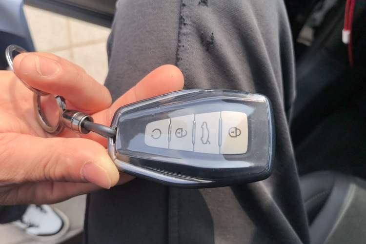 Used Geely Auto Monjaro L 2024 2.0TD High-Power Automatic Two-Wheel Drive Skyline Edition
