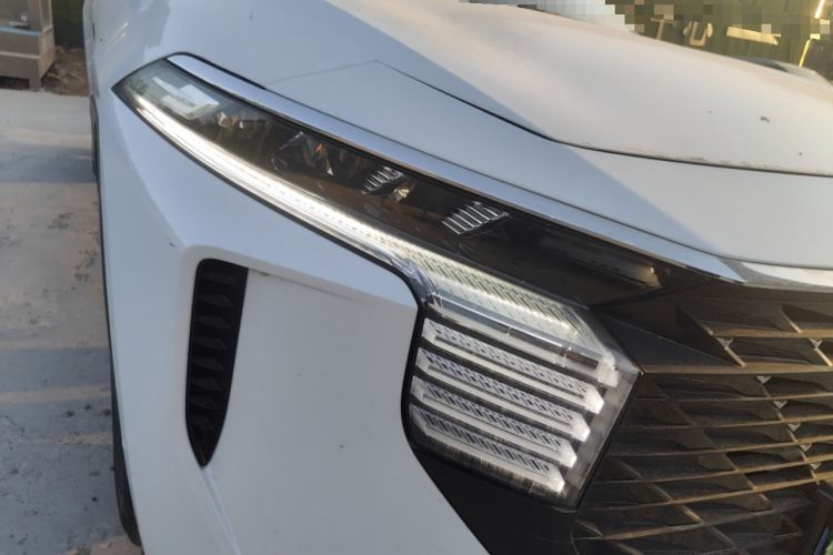 Used Venucia V 2022 260T Black Horse Edition · King
