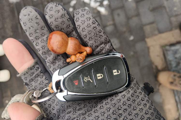 Used Chevrolet Equinox 2019 Redline 550T Automatic All-Wheel-Drive RS Model China V Standard
