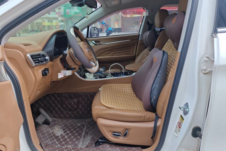 Used Land Rongyao 2020 1.5 GTDI Automatic Flagship Edition Left Front Seat