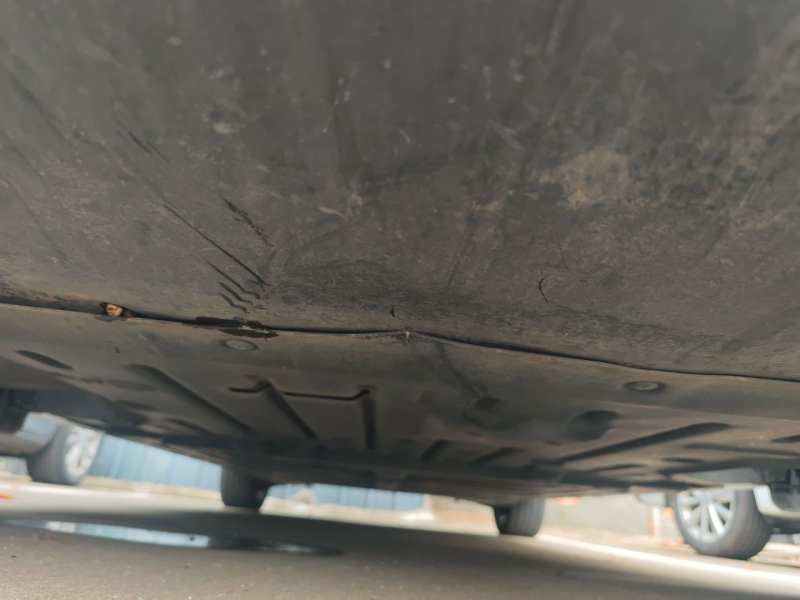 Used BYD Dolphin 2024 Honor Edition 420km Freedom Version — 25