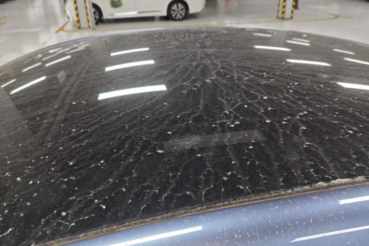 Used BYD Seal 2023 Champion Edition 700km Performance Version
