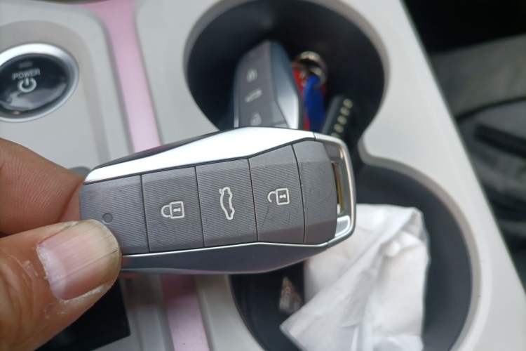 Used SOL E10X 2022 Flower Fairy Design Four-Leaf Clover