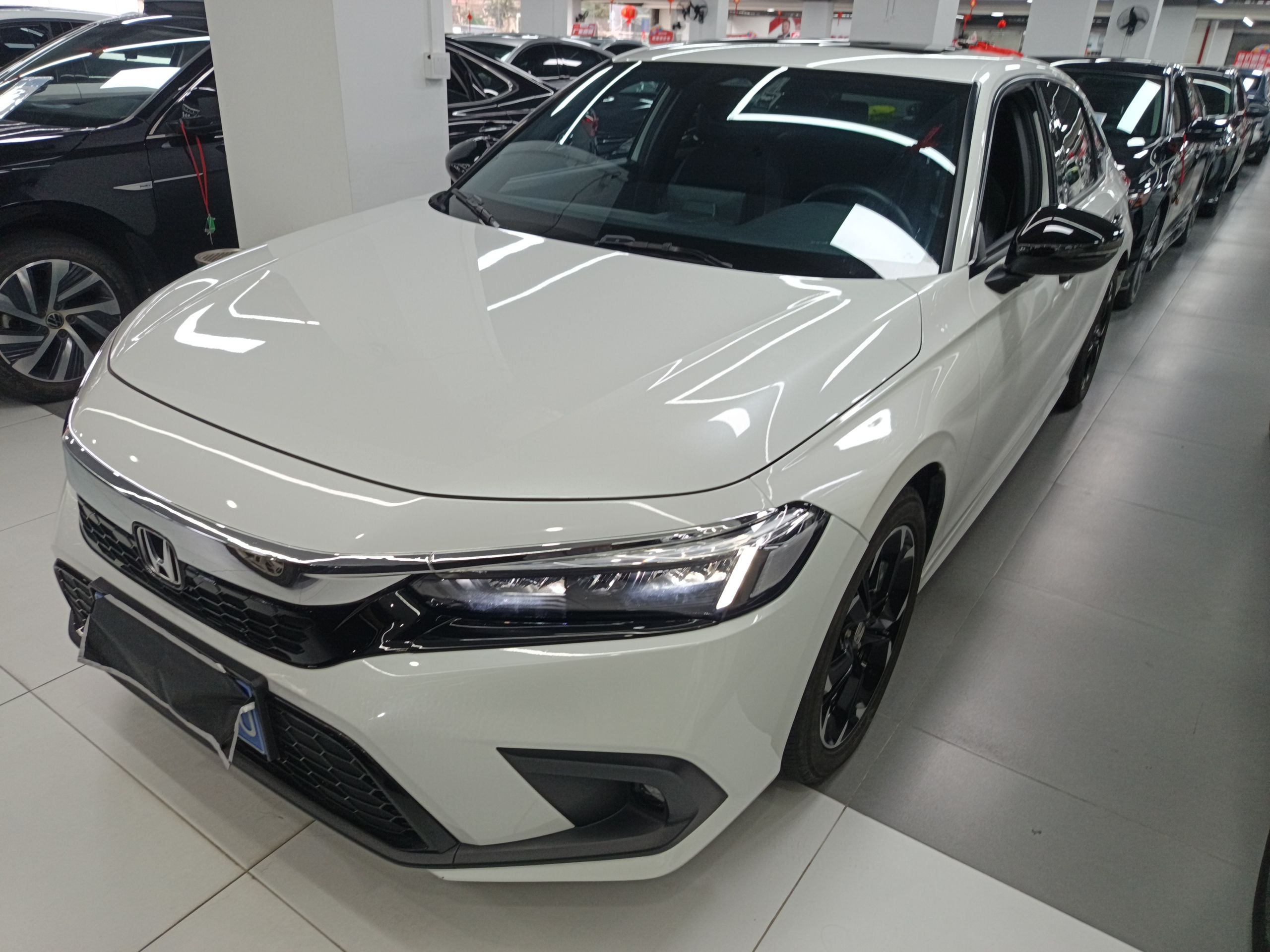 Parte inferior delantera