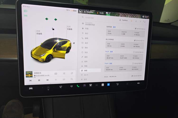 Used Tesla Model Y 2021 Standard Range Rear-Wheel Drive Version
