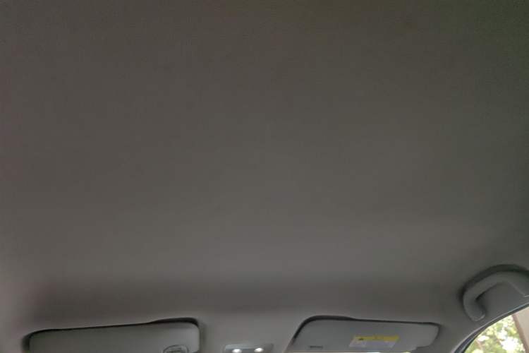 Used NETA V 2022 Chao 300 Industry Custom Edition