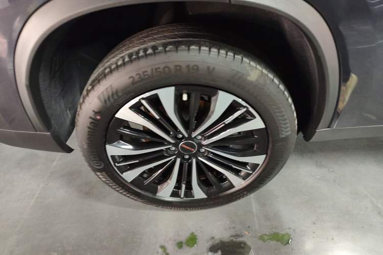 Used EXEED Lingyun 2024 300T Two-Wheel Drive Starlight Edition