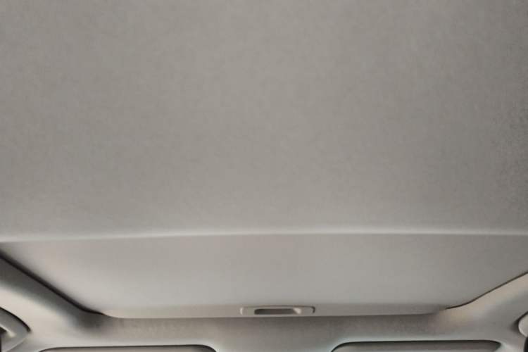 Used Toyota Corolla 2019 1.2T S-CVT GL-i Elite Edition Headliner