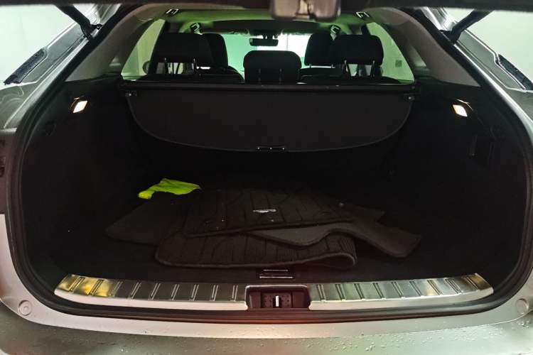 Used Lexus RX 2020 Revised Version 300 Two-Wheel Drive Elite Edition