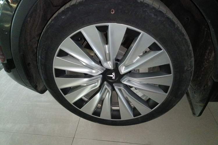 Used Tesla Model Y 2021 Standard Range Rear-Wheel Drive Version
