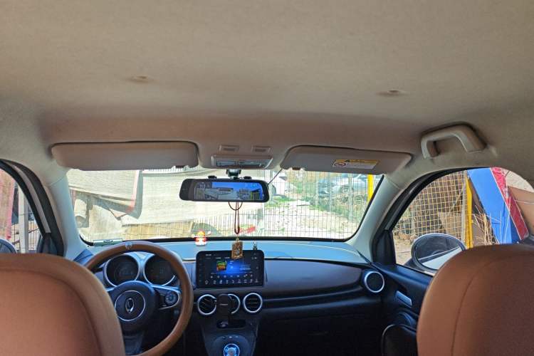 Used ORA Black Cat 2019 310km Fun Edition Headliner