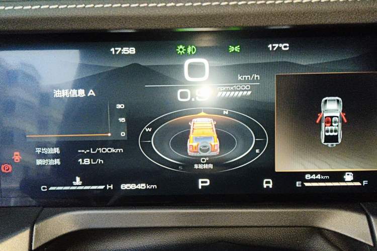 Used Tank 300 2023 2.0T Iron Rider 02
