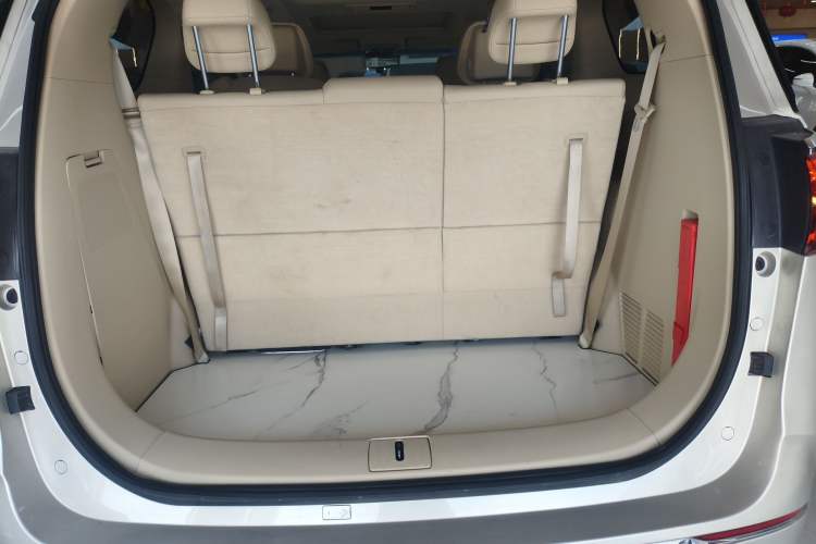 Used Buick GL8 2022 ES Landtrek 653T Luxury Edition