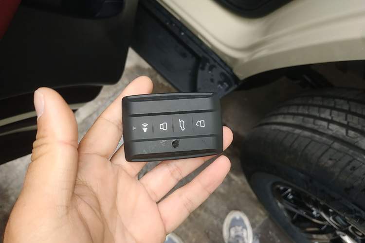 Used Tank 300 2025 2.4T Diesel Version