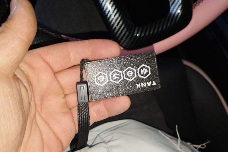 Used Tank 300 2023 City Edition 2.0T—Stylish as Ever
