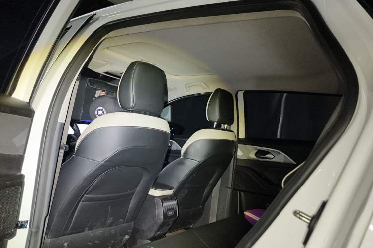 Used Geometry E Firefly 2023 401KM Linglong Tiger 5-Seater