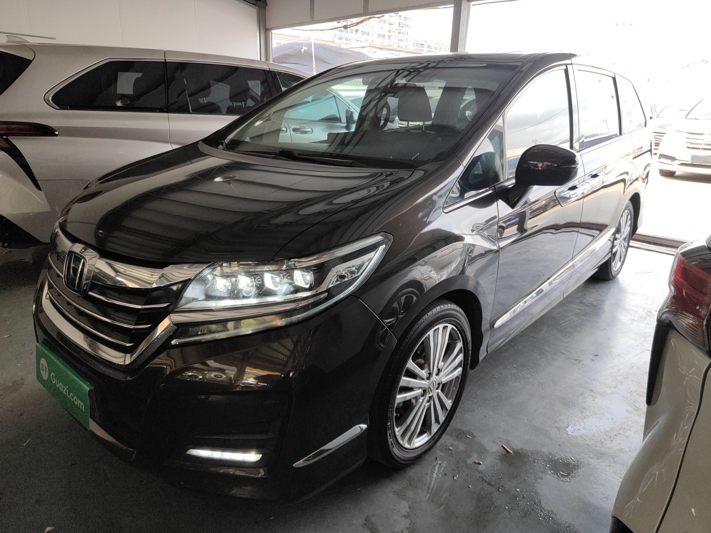 Parte inferior delantera