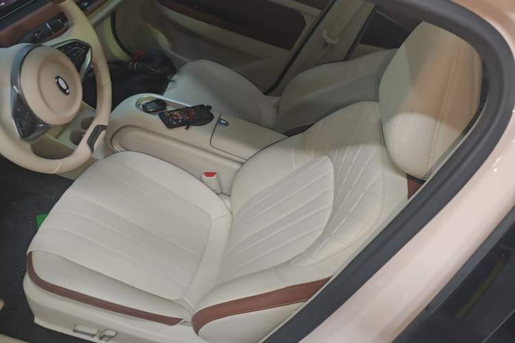 Used ORA Good Cat 2024 501 km Luxury Version
