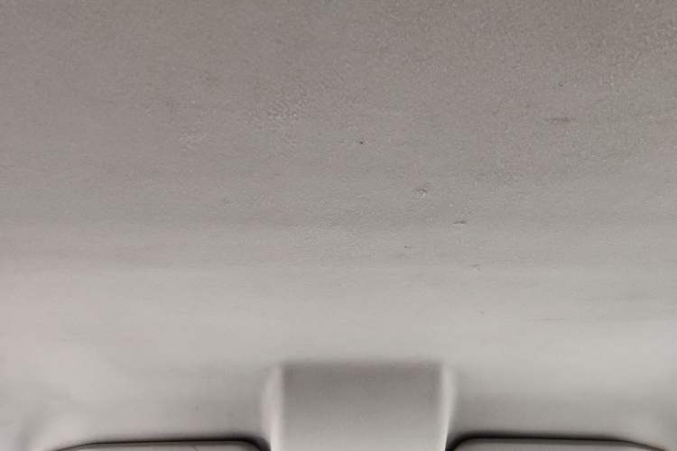 Used Ford EcoSport 2017 1.5L Automatic Trend Model Headliner