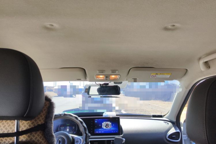 Used ORA White Cat 2020 401 km Long-Range Version
