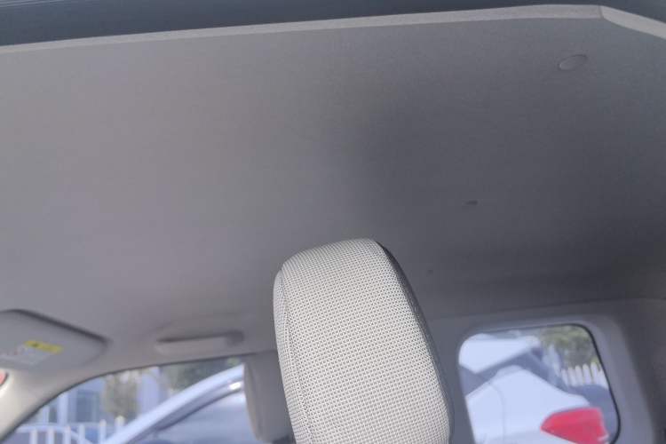 Used Qiyuan Lumin 2022 301km Honey-Sweet Version
