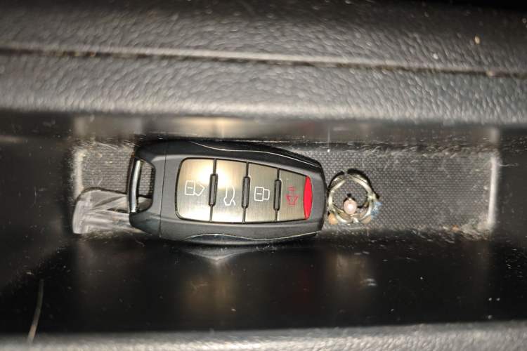 Used ORA Black Cat 2021 301km Cute Pet Edition