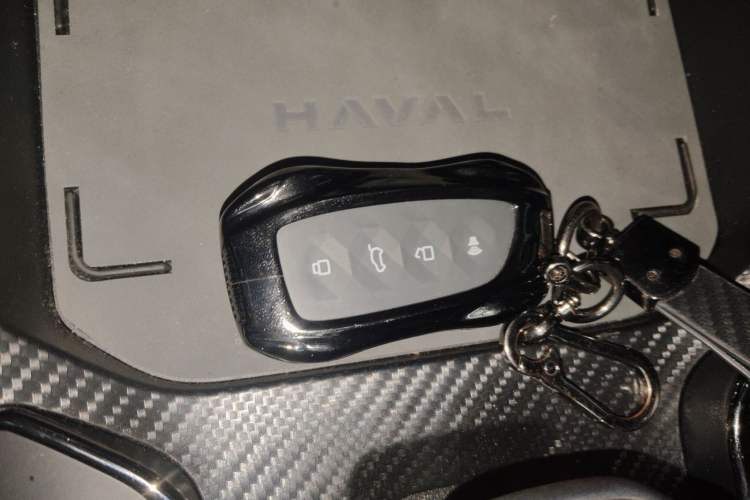 Used Haval H Dog 2023 1.5T Two-Wheel Drive Chao Ye Version Plus