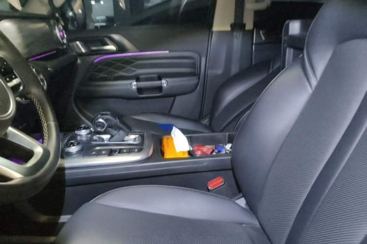 Used Tank 300 2021 City Edition 2.0T—Truly Stylish Left Front Seat