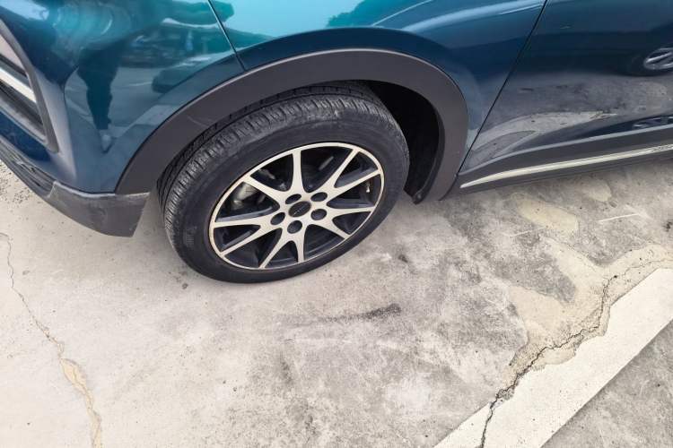 Used Dayun Yuehu 2022 30.66 kWh Two-Wheel Drive VIP Edition
