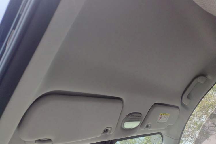 Used Chery Little Ant 2024 321km Love Edition Headliner