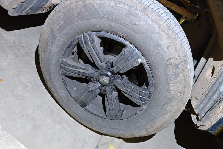 Used Tank 300 2025 2.0T Conqueror
