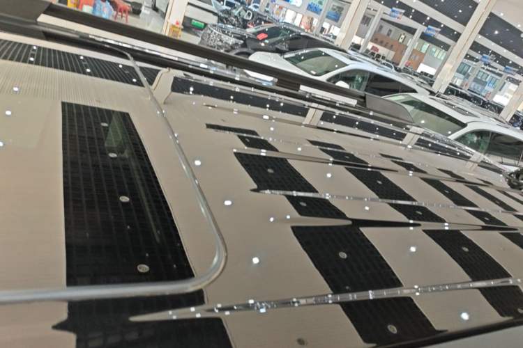 Used Tank 300 2025 2.0T Conqueror Roof