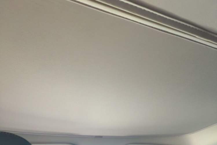 Used Tesla Model Y 2023 Rear-Wheel-Drive Version Headliner