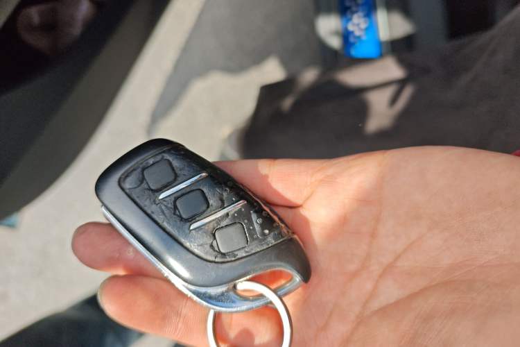 Used MG EZS Electric 2019 E-Pro Edition Vehicle Key