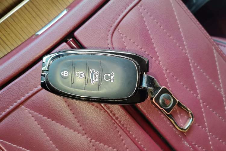 Used Hongqi E-HS9 2022 660 km Range Flagway Edition Six Seats