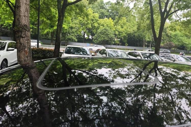 Used MG 6 2020 1.5T Automatic Trophy Luxury Edition