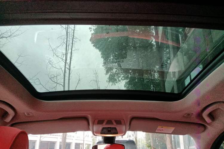 Used BMW X1 2020 sDrive25Li Leading Model Headliner