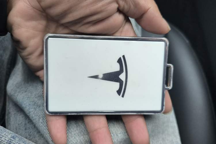 Used Tesla Model Y 2023 Rear-Wheel-Drive Version
