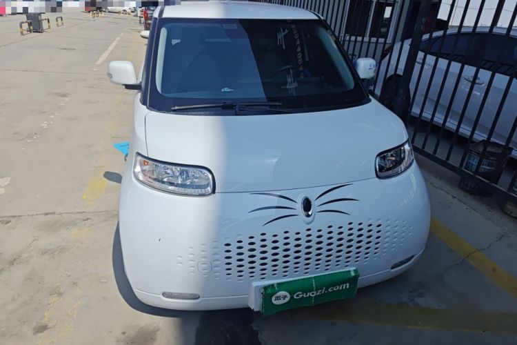 Used ORA White Cat 2020 305 km Luxury Version