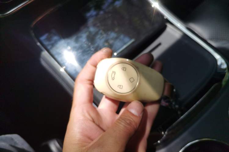 Used Leapmotor C11 2021 Luxury Edition
