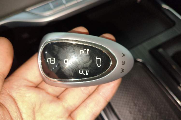 Used Wey Gaoshan 2023 Four-Wheel Drive Flagship Edition
