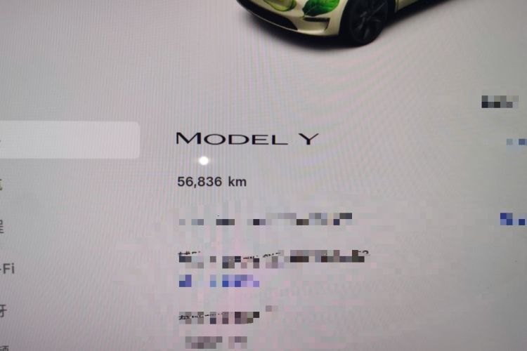 Used Tesla Model Y 2022 Revised Version Rear-Wheel Drive