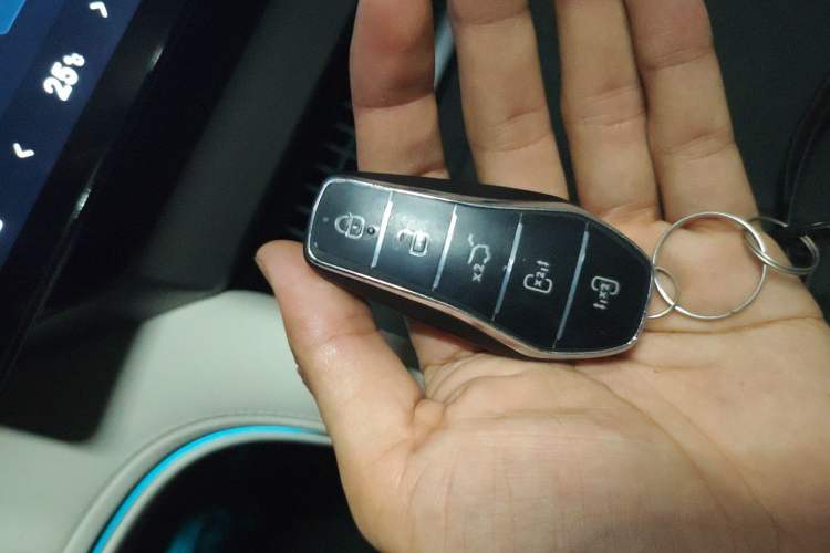 Used BYD Xia 2025 DM-i 1.5T 100km Supreme Edition
