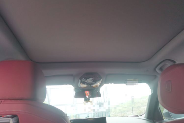 Used BMW 5 Series 2024 530Li Leading Luxury Package Headliner