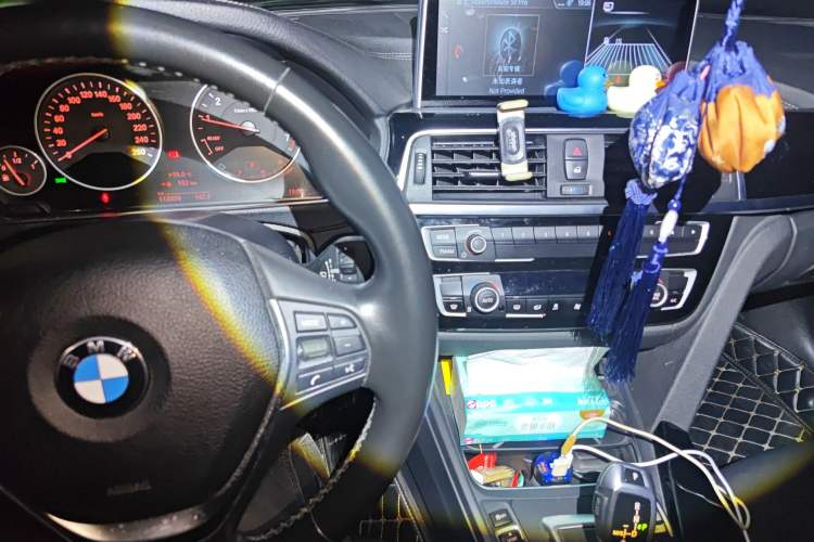 Used BMW 3 Series 2018 318Li
