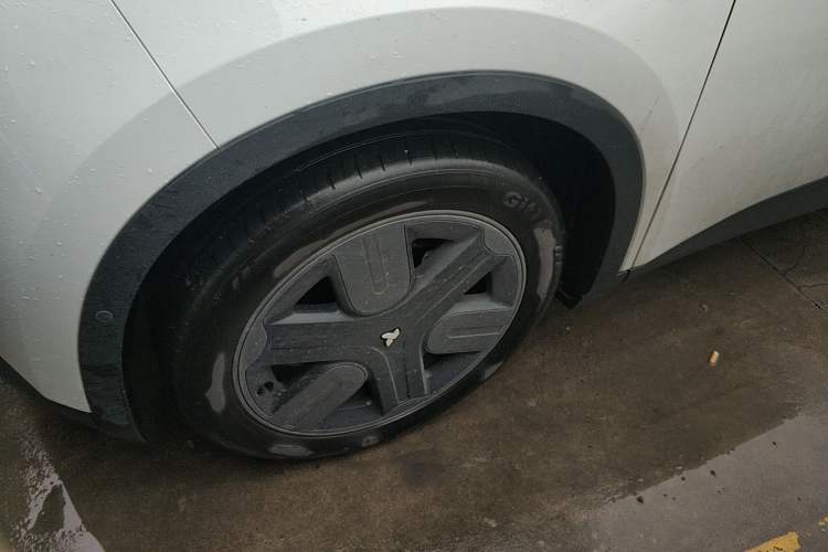 Used firefly 2025 Illuminated Edition
