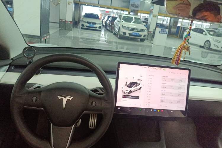 Used Tesla Model 3 2022 Performance High-Performance All-Wheel-Drive Version
