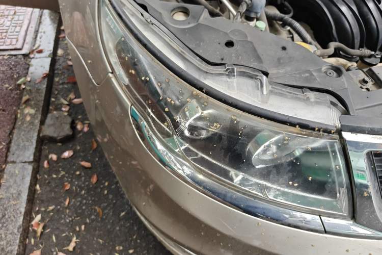 Used Geely Auto Vision 2017 1.5L Manual Happiness Edition
