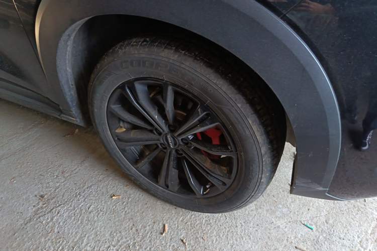 Used Haval H6S 2022 2.0T Two-Wheel Drive ZhiRun Version
